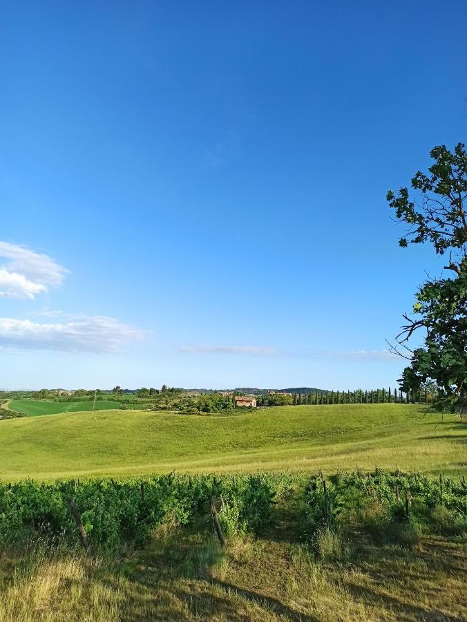 Villa Podere Cartaio Bio Estate Pool AirC San Rocco a Pilli Exterior foto