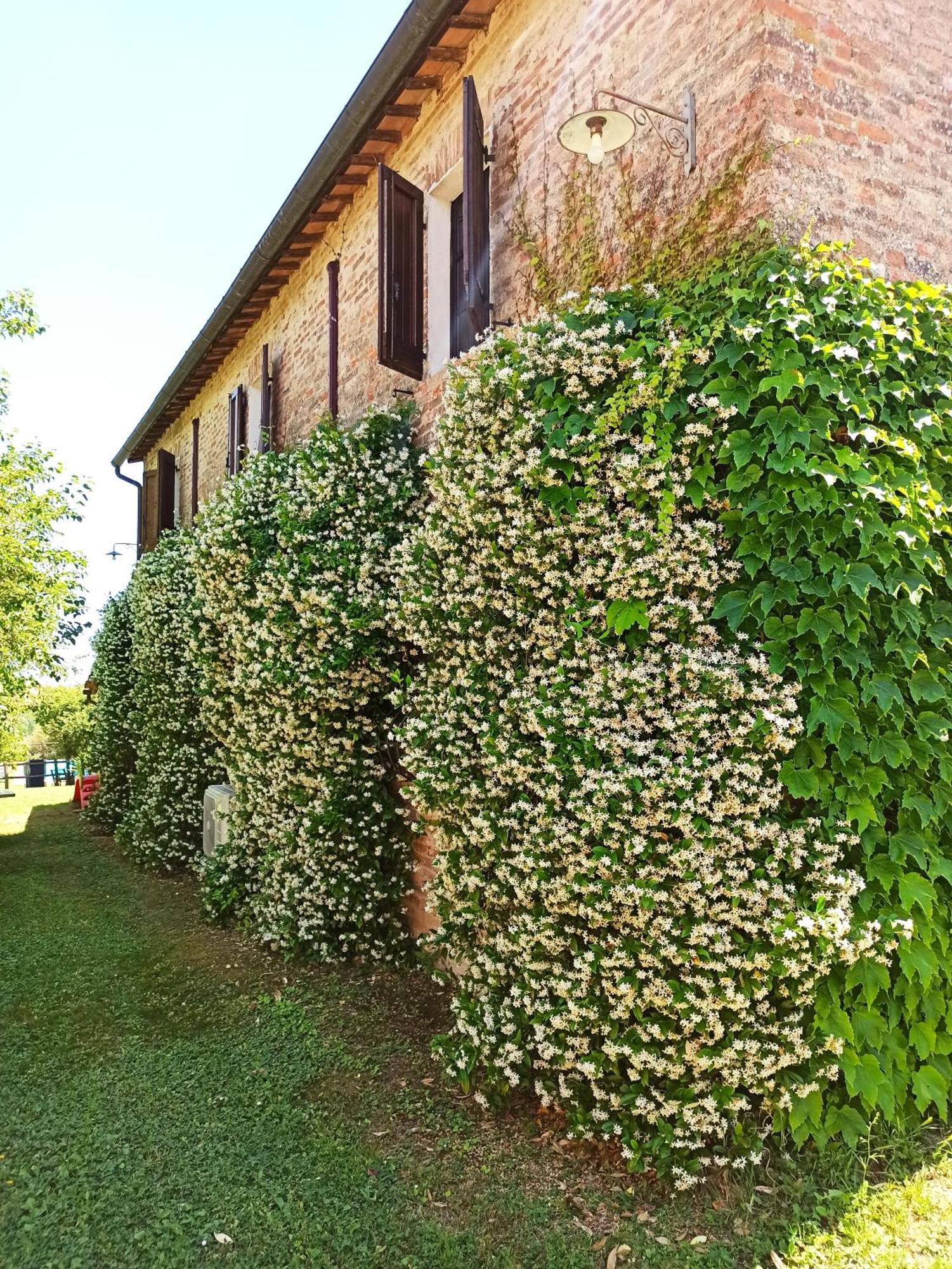Villa Podere Cartaio Bio Estate Pool AirC San Rocco a Pilli Exterior foto